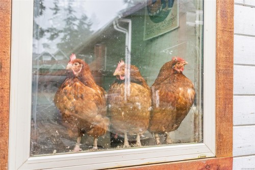 6126 Renton Rd, Port Alberni, BC 