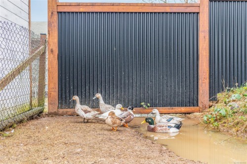 6126 Renton Rd, Port Alberni, BC 