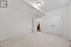 LOWER LEVEL 3RD BEDROOM - 