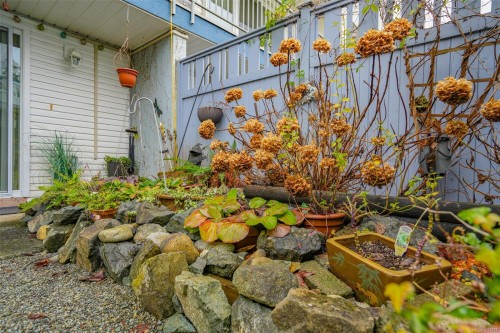 4233 8Th Ave, Port Alberni, BC 