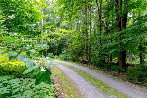 Autre - Ch. Élie, Sutton, QC 
