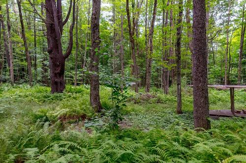 Terre/Terrain - Ch. Élie, Sutton, QC 