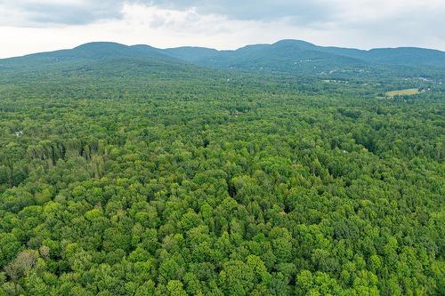 Photo aérienne - Ch. Élie, Sutton, QC 