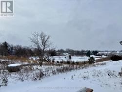 back yard view in the winter - 