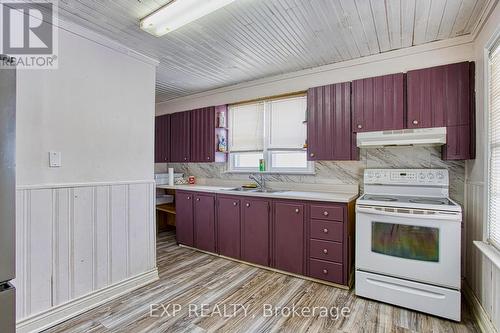 16 Victoria Avenue, Hamilton, ON - Indoor Photo Showing Kitchen With Double Sink