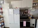 675 Pasqua Street, Regina, SK  - Indoor Photo Showing Kitchen 
