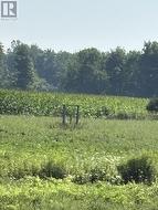 4688 GODBY ROAD  Bayham, ON N0J 1T0