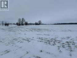 132 6 CONCESSION  Arran-Elderslie, ON N0G 1L0