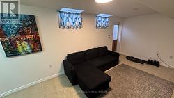 Basement living room - 