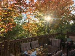 Summer rear elevated deck - 