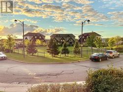 The view from the front window - 