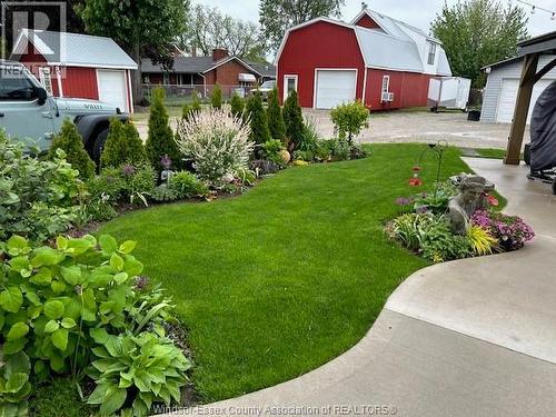 136 Lowes Sideroad, Amherstburg, ON - Outdoor
