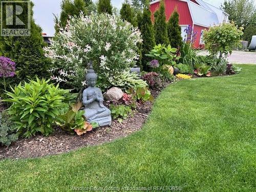 136 Lowes Sideroad, Amherstburg, ON - Outdoor