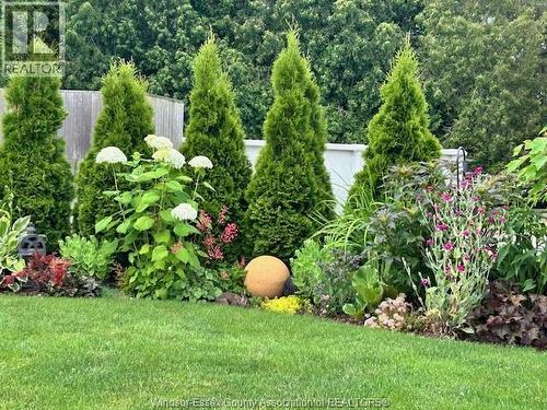 136 Lowes Sideroad, Amherstburg, ON - Outdoor