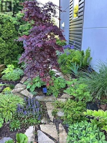 136 Lowes Sideroad, Amherstburg, ON - Outdoor