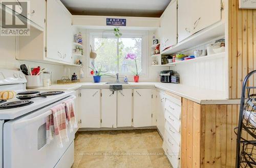 151 Franklin Street N, Kitchener, ON - Indoor Photo Showing Kitchen