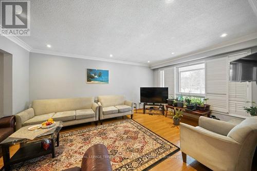 473 Hounslow Avenue, Toronto, ON - Indoor Photo Showing Living Room
