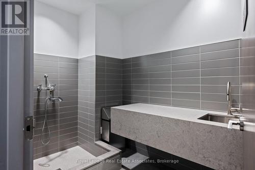 Pet Spa - 209 - 42 Mill Street, Halton Hills, ON - Indoor Photo Showing Bathroom