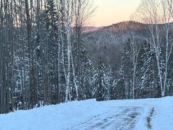 37-839 Rg Sacacomie  Saint-Alexis-Des-Monts, QC J0K 1V0