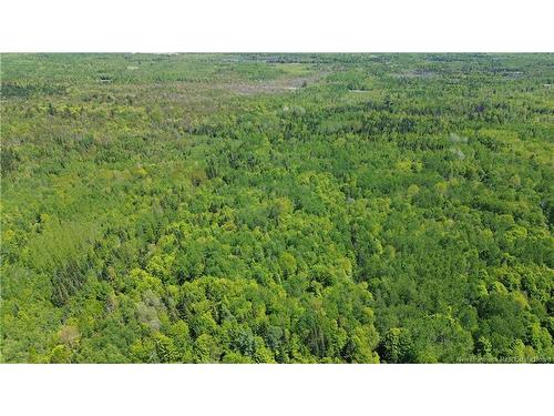 0 Tobin Rd, Elmwood, NB 