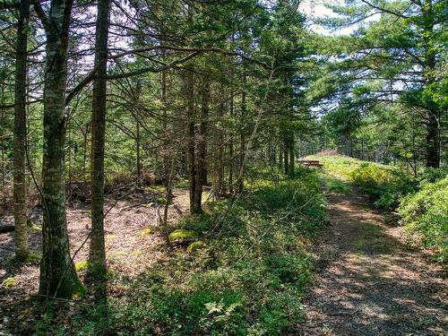 Lot 5 Cooks Brook, Bayport, NS 