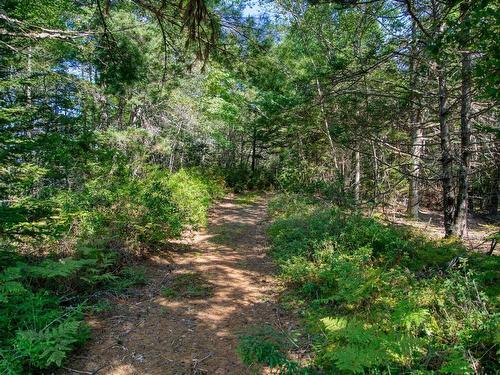 Lot 5 Cooks Brook, Bayport, NS 