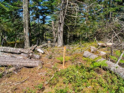 Lot 5 Cooks Brook, Bayport, NS 