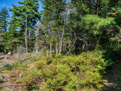 Lot 5 Cooks Brook, Bayport, NS 