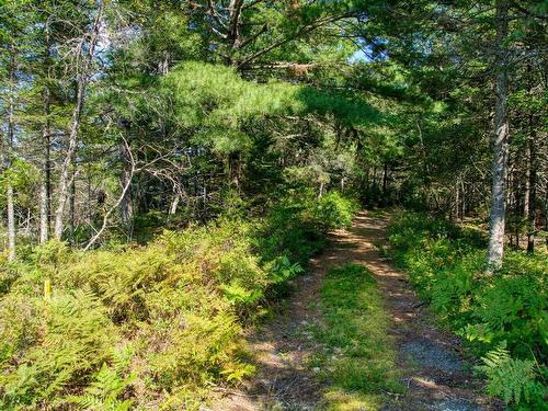 Lot 5 Cooks Brook, Bayport, NS 