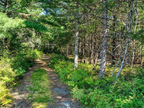 Lot 5 Cooks Brook, Bayport, NS 