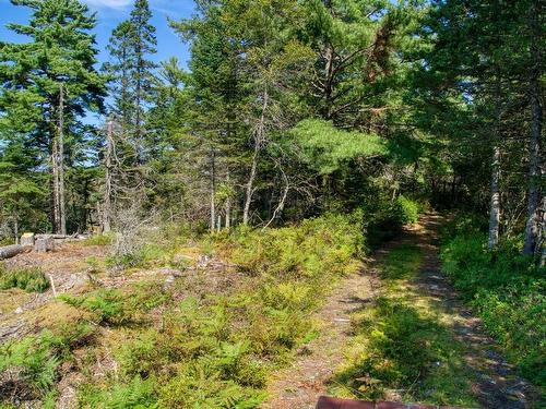 Lot 5 Cooks Brook, Bayport, NS 