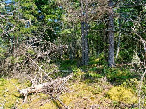 Lot 5 Cooks Brook, Bayport, NS 