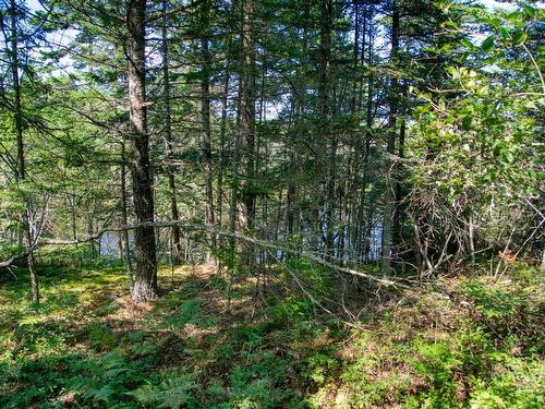 Lot 5 Cooks Brook, Bayport, NS 