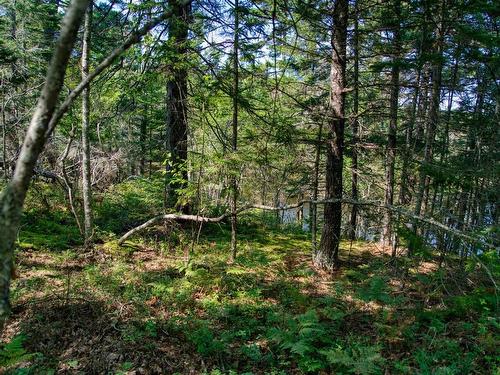 Lot 5 Cooks Brook, Bayport, NS 