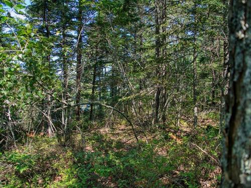Lot 5 Cooks Brook, Bayport, NS 
