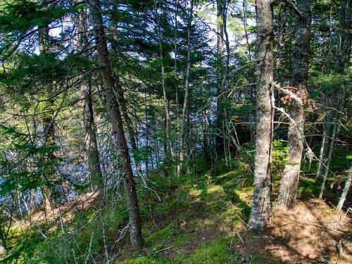 Lot 5 Cooks Brook, Bayport, NS 