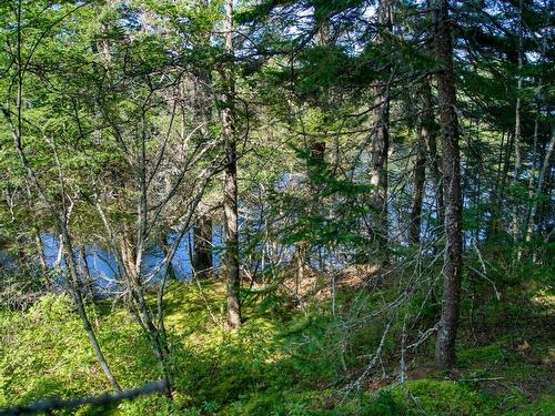 Lot 5 Cooks Brook, Bayport, NS 