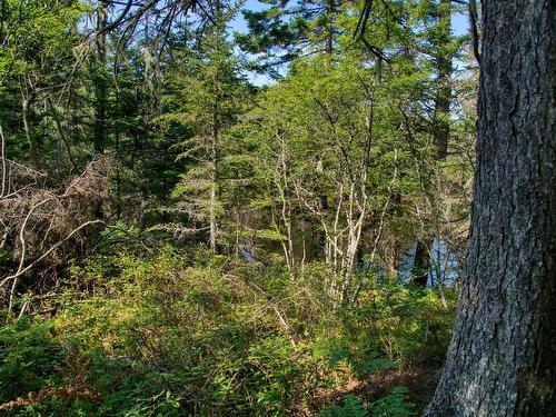 Lot 5 Cooks Brook, Bayport, NS 