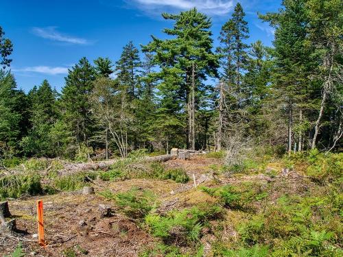 Lot 5 Cooks Brook, Bayport, NS 