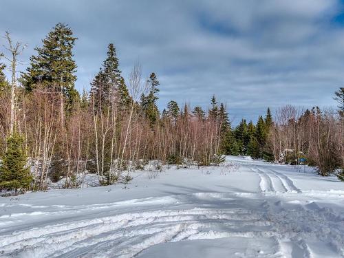 Lot 5 Cooks Brook, Bayport, NS 