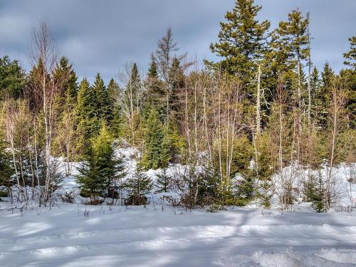 Lot 5 Cooks Brook, Bayport, NS 