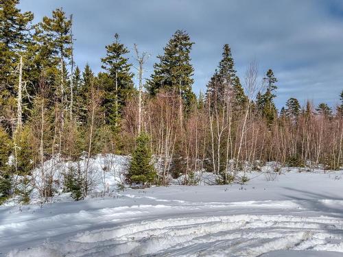 Lot 5 Cooks Brook, Bayport, NS 