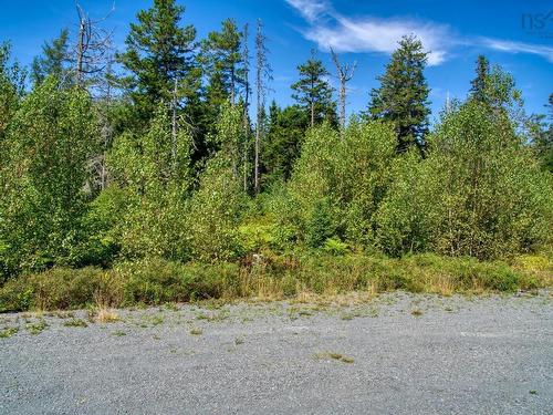 Lot 5 Cooks Brook, Bayport, NS 