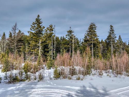 Lot 5 Cooks Brook, Bayport, NS 