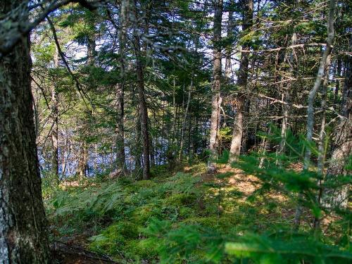 Lot 5 Cooks Brook, Bayport, NS 