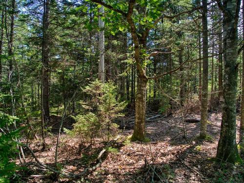 Lot 5 Cooks Brook, Bayport, NS 