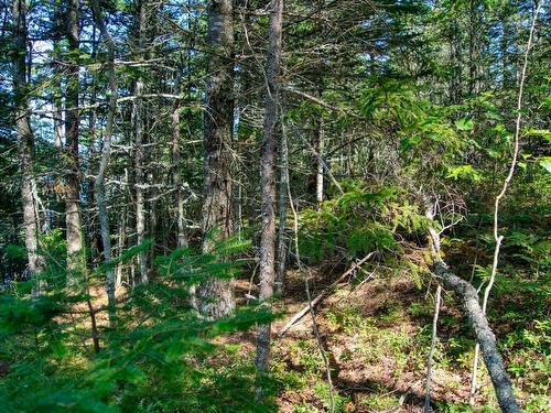 Lot 5 Cooks Brook, Bayport, NS 