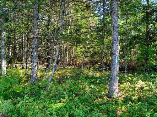 Lot 5 Cooks Brook, Bayport, NS 