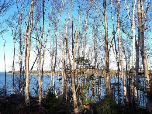 Lot 17 Torus Dr, Macnabs Cove, NS 