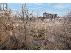 Overlooking Mill Creek - 